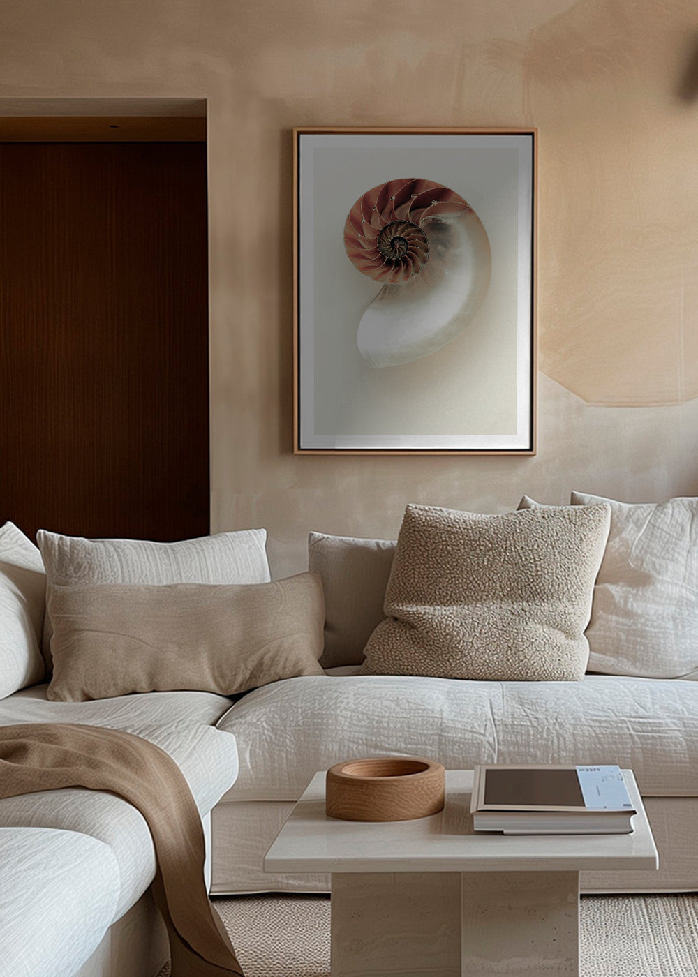 Photographie de nautile en spirale
