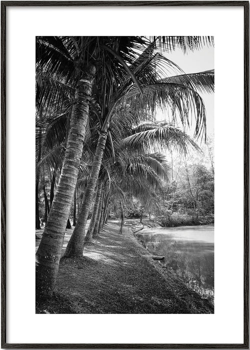 Verticaal palm landschap foto