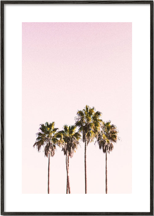 Botanische poster: palmbomen tegen roze lucht
