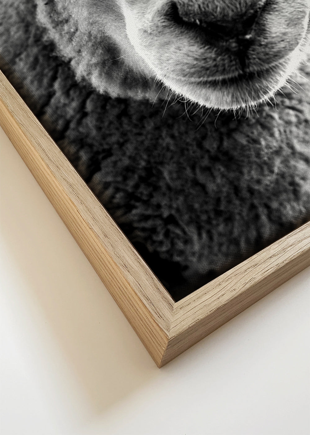 Schaap kunstwerk zwart wit