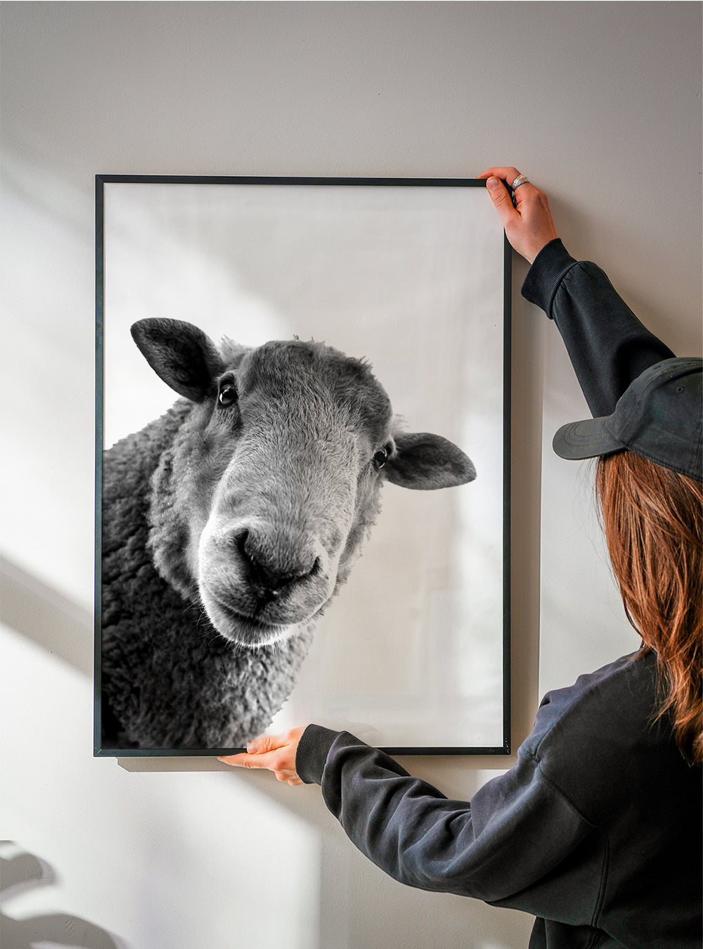 Schaap kunstwerk zwart wit