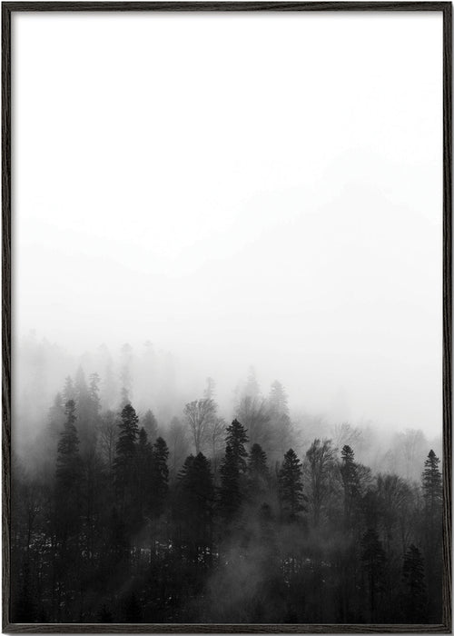 Landschap kunst mistig bos