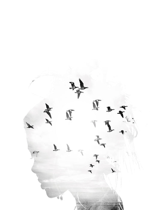 Dreamer