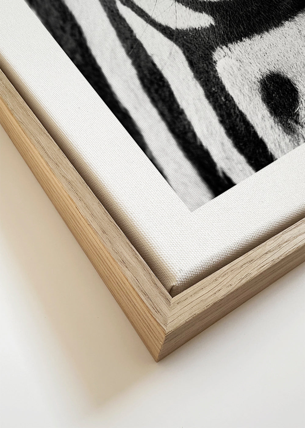 Dierenposter zebra close-up