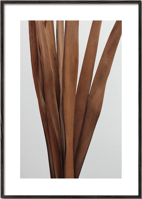 Botanische poster gedroogde bladeren