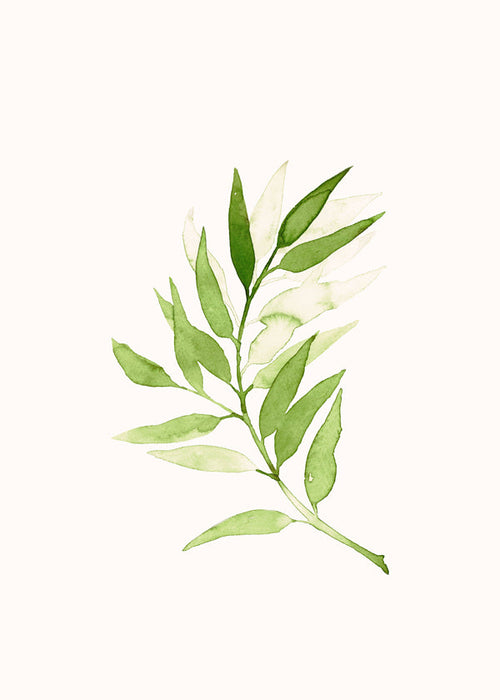 Botanische print: minimalistische groene tak