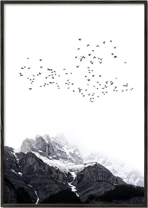 Landschapsposter met vogels boven besneeuwde toppen
