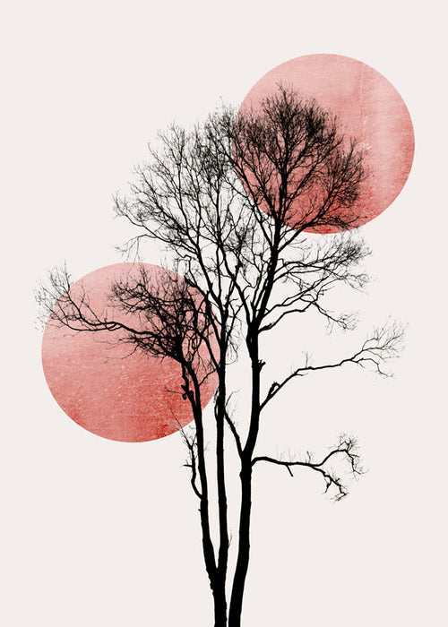 Botanische print: boom-silhouet met roze schijven