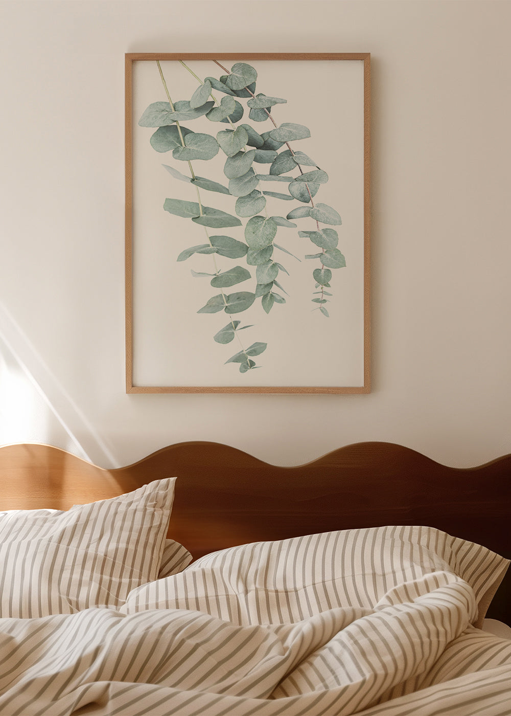 Botanische poster met hangende eucalyptus