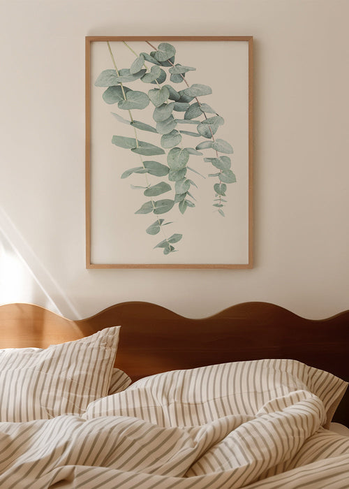 Botanische poster met hangende eucalyptus