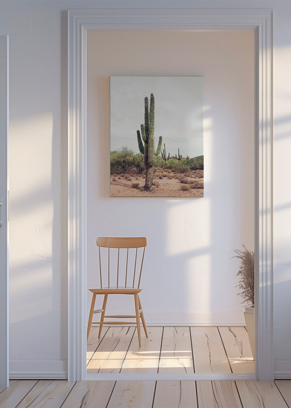 Desert cactus