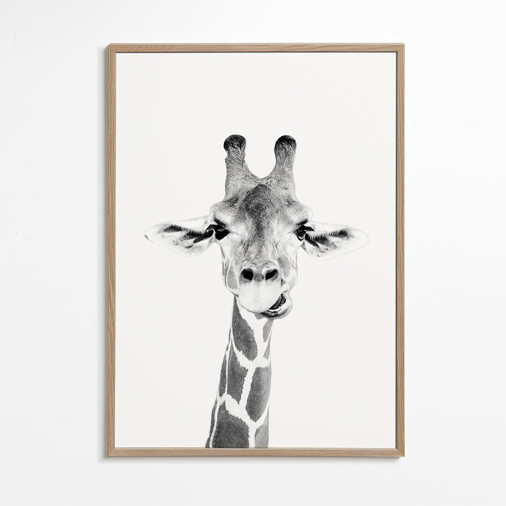 Giraffe zwart-wit poster