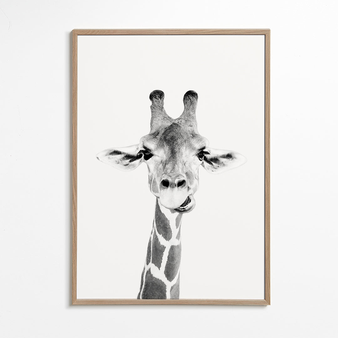 Giraffe zwart-wit poster
