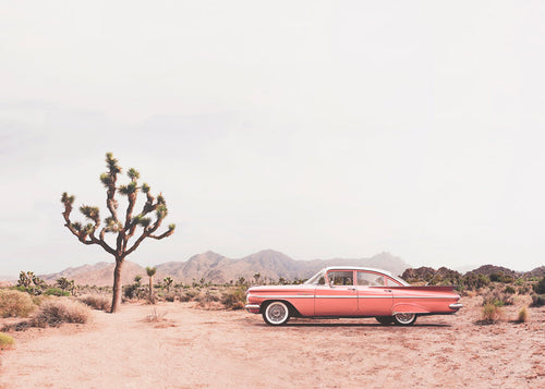 Landschap kunst met vintage auto in de woestijn
