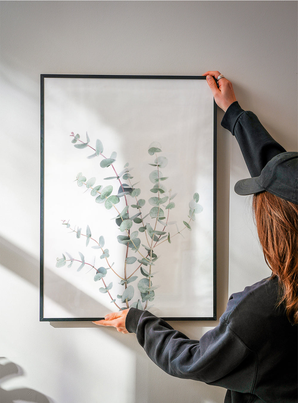 Eucalyptus Branch