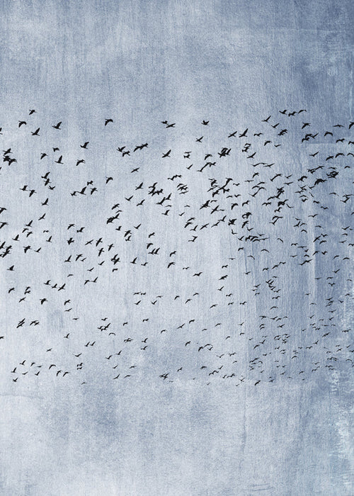Abstract kunstwerk: zwerm vogels op blauwe textuur