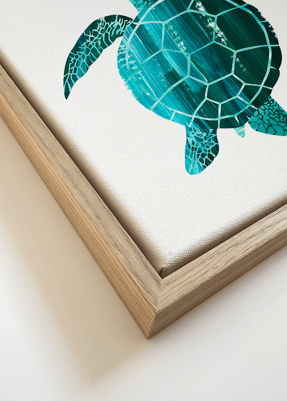 Schildpad illustratie