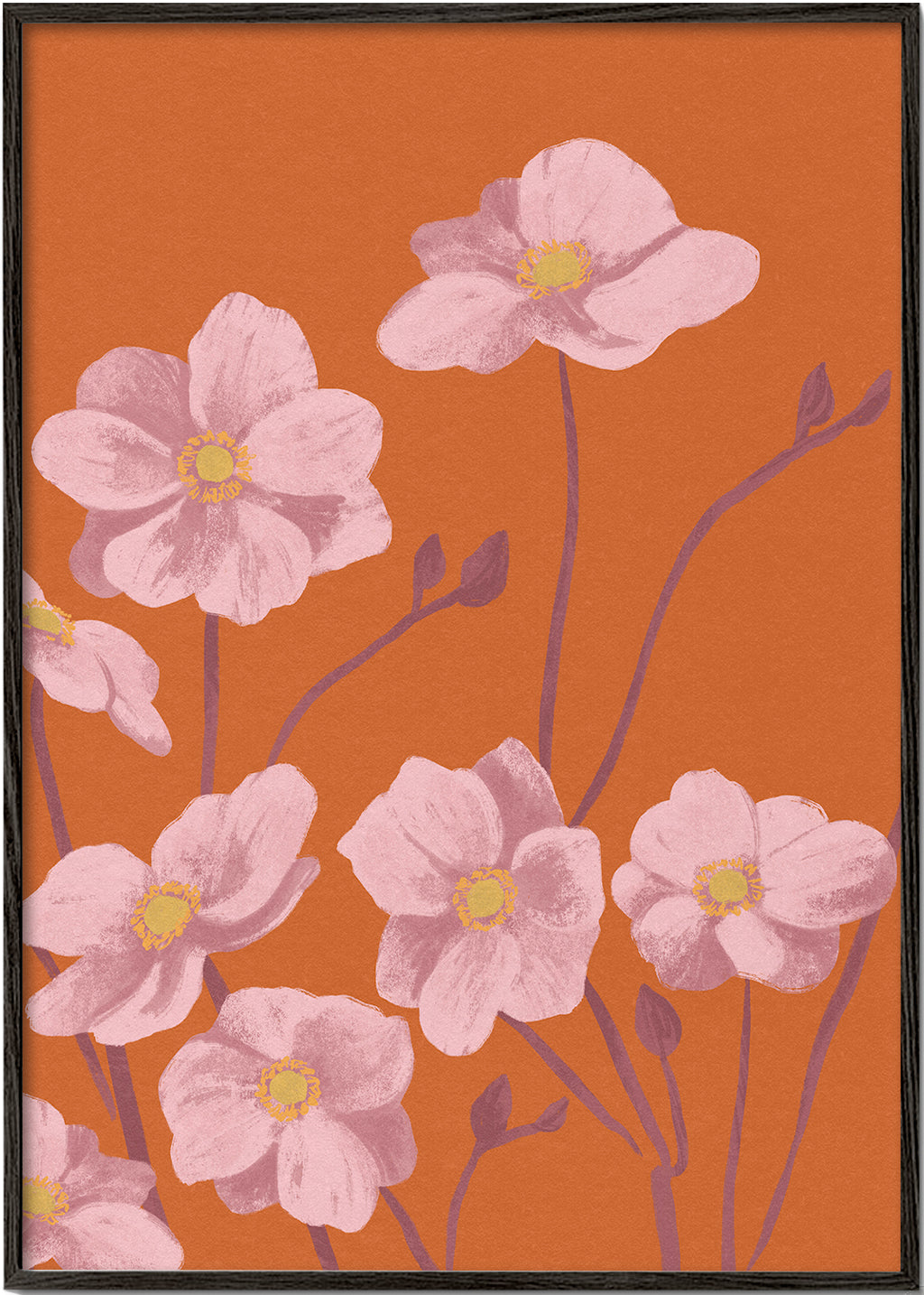 Anemone