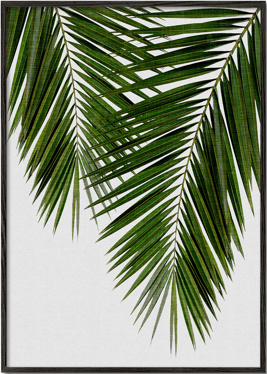 Botanische print met palmblad