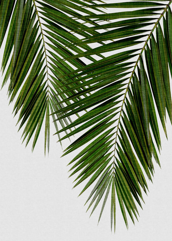Botanische print met palmblad