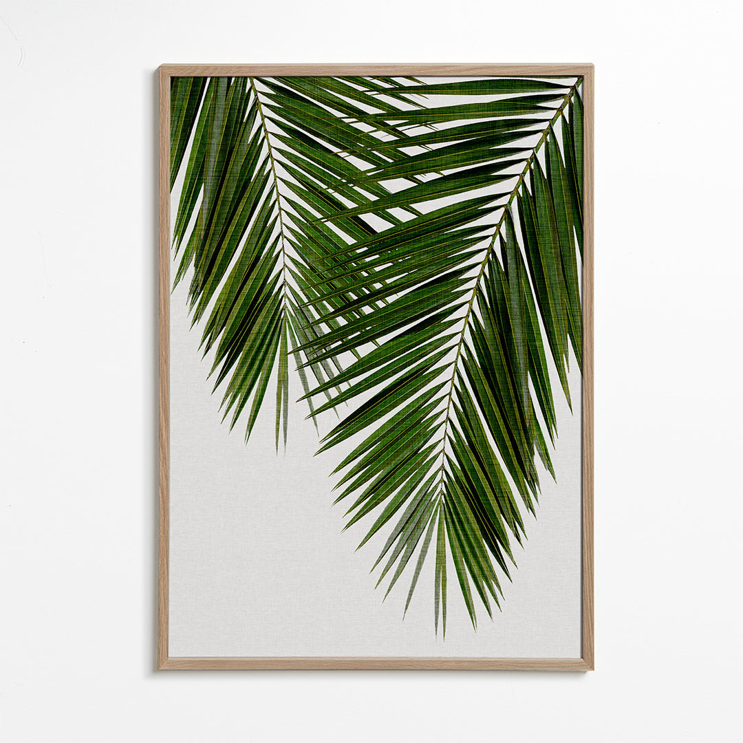 Botanische print met palmblad