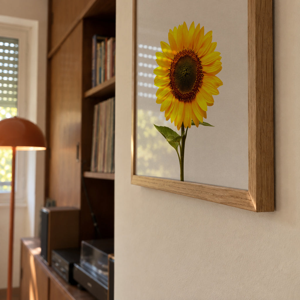 Sunflower still life - Framed poster detail