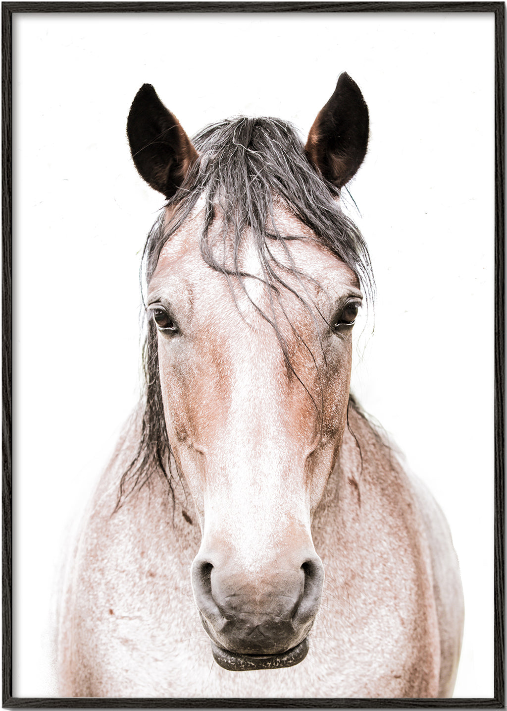 Paard portret minimalistisch