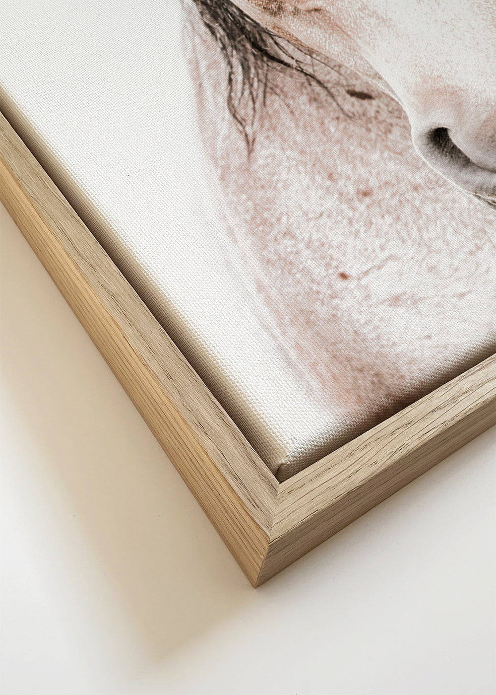 Paard portret minimalistisch