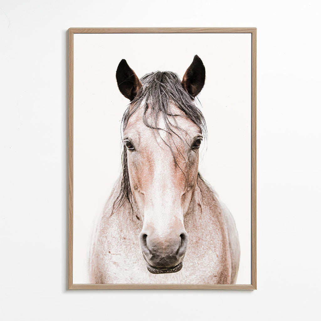 Paard portret minimalistisch