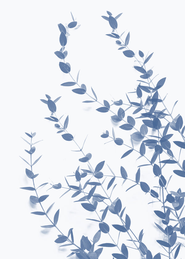Botanische print blauwe bladeren op lichte achtergrond