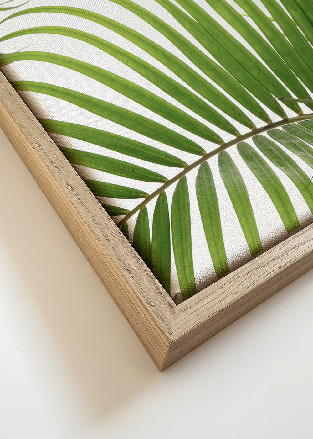 Botanische poster met palmbladeren