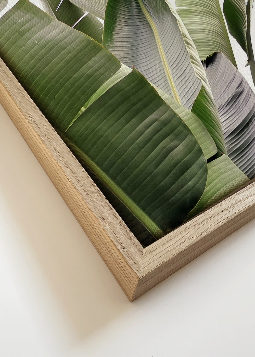 Botanische poster palmbladeren