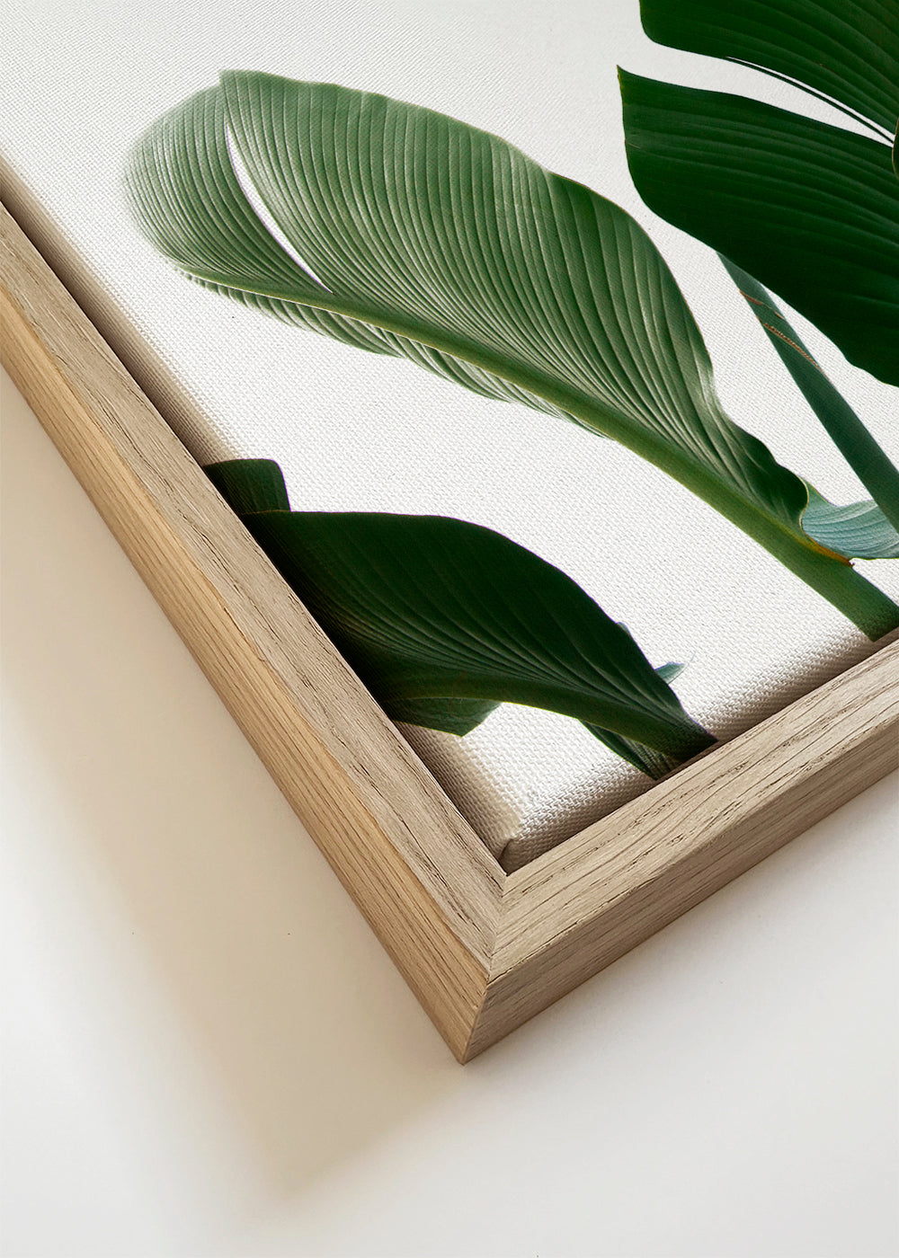 Botanische poster palmbladeren