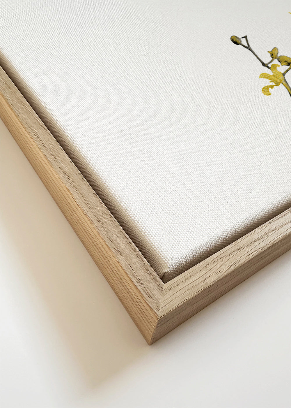 Botanische poster: gele orchidee minimal