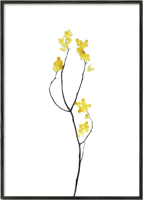 Botanische poster met gele bloementak