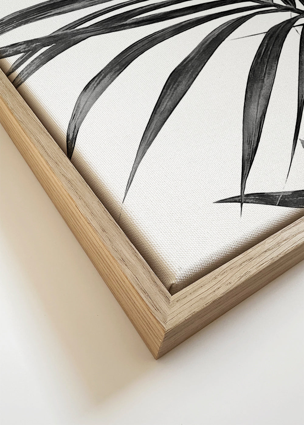 Botanische poster met palmblaaderen zwart-wit
