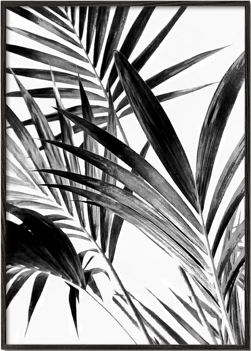 Botanische poster palmbladeren in zwart-wit