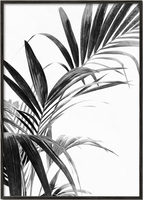 Botanische print: palmbladeren in zwart-wit