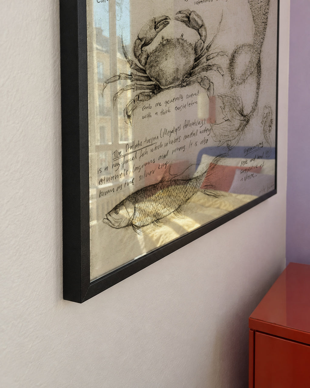 Sea Animals - Framed poster detail