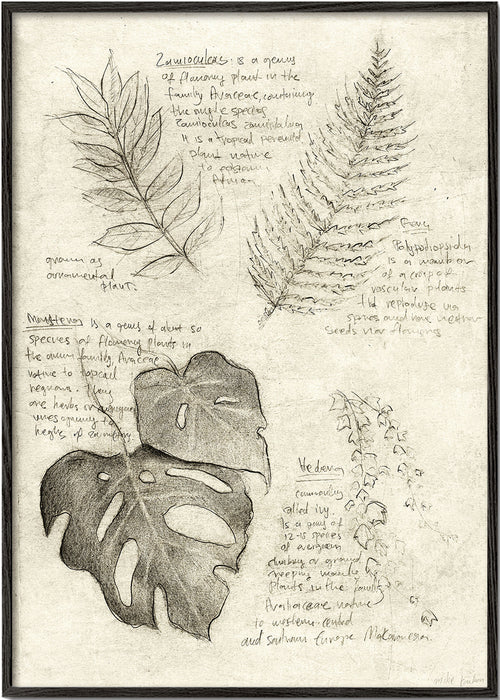 Botanische poster met bladerenstudie