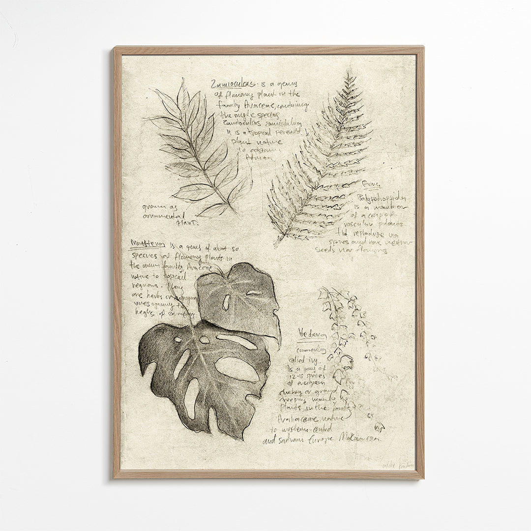 Plants