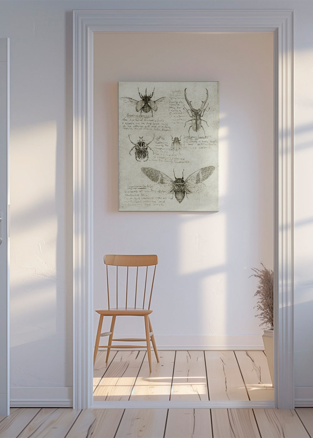 Insects