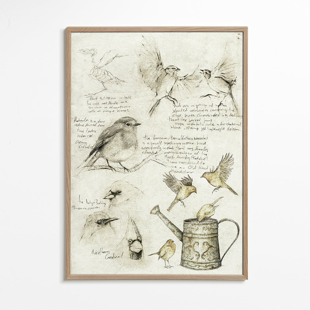 Birds