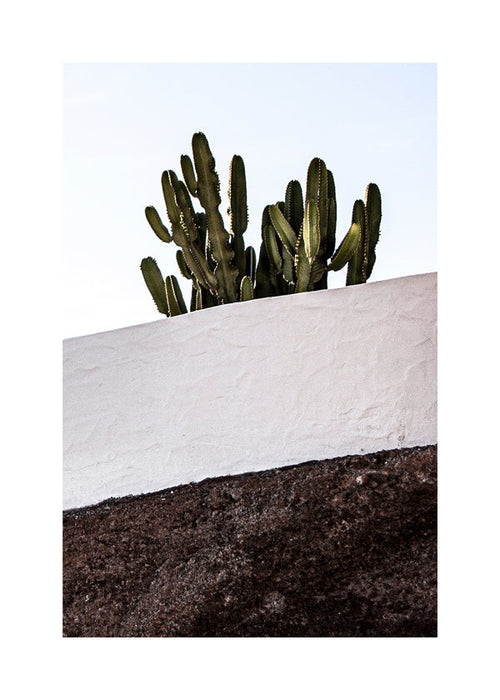 Botanische poster verticaal met cactus tegen muur