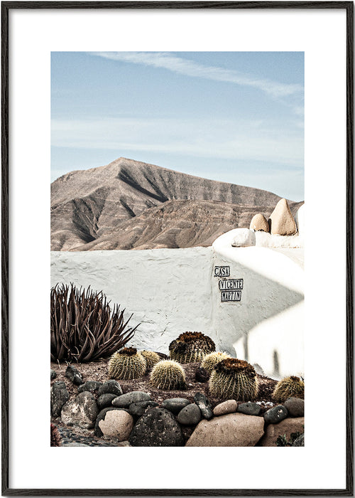 Botanische print met cactus en vulkanische richel