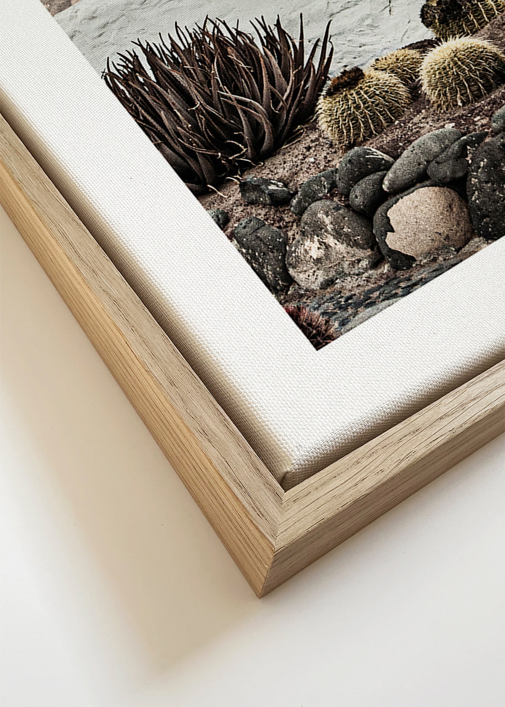 Botanische print met cactus en vulkanische richel