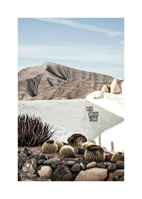 Botanische print met cactus en vulkanische richel