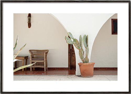 Botanische print met cactus en boog