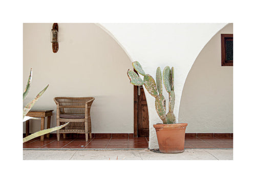 Botanische print met cactus en boog