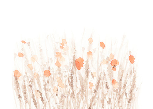 Botanische print met delicate gedroogde bloemen